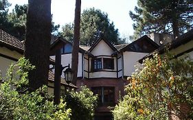 Pinamar De La Lisa